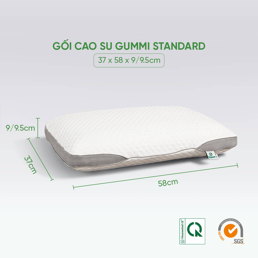 Gối Cao su Gummi Standard