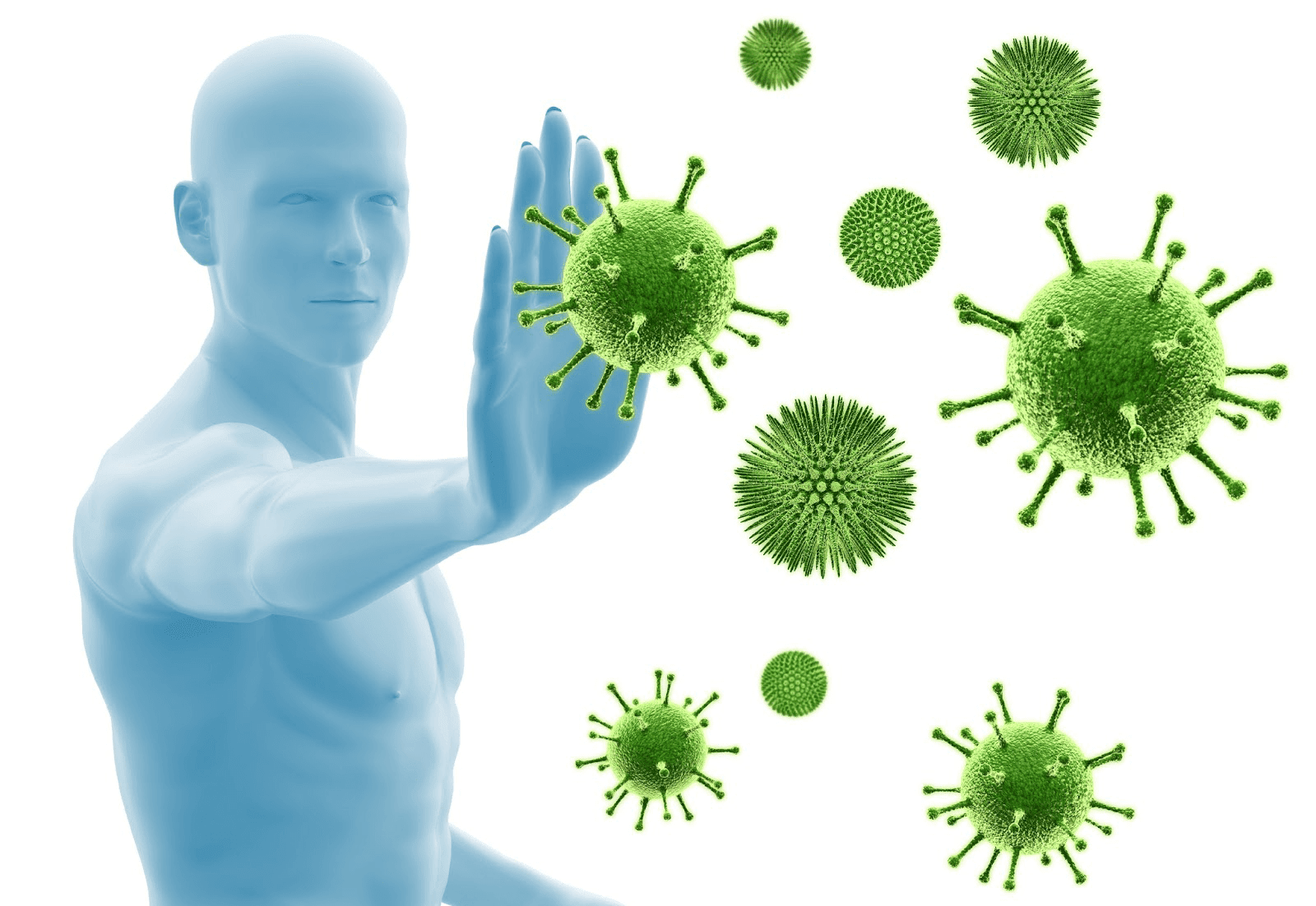 Hỏi & Đáp] Hệ thống miễn dịch là gì? Làm sao để tăng cường hệ miễn dịch? - Vua Nệm