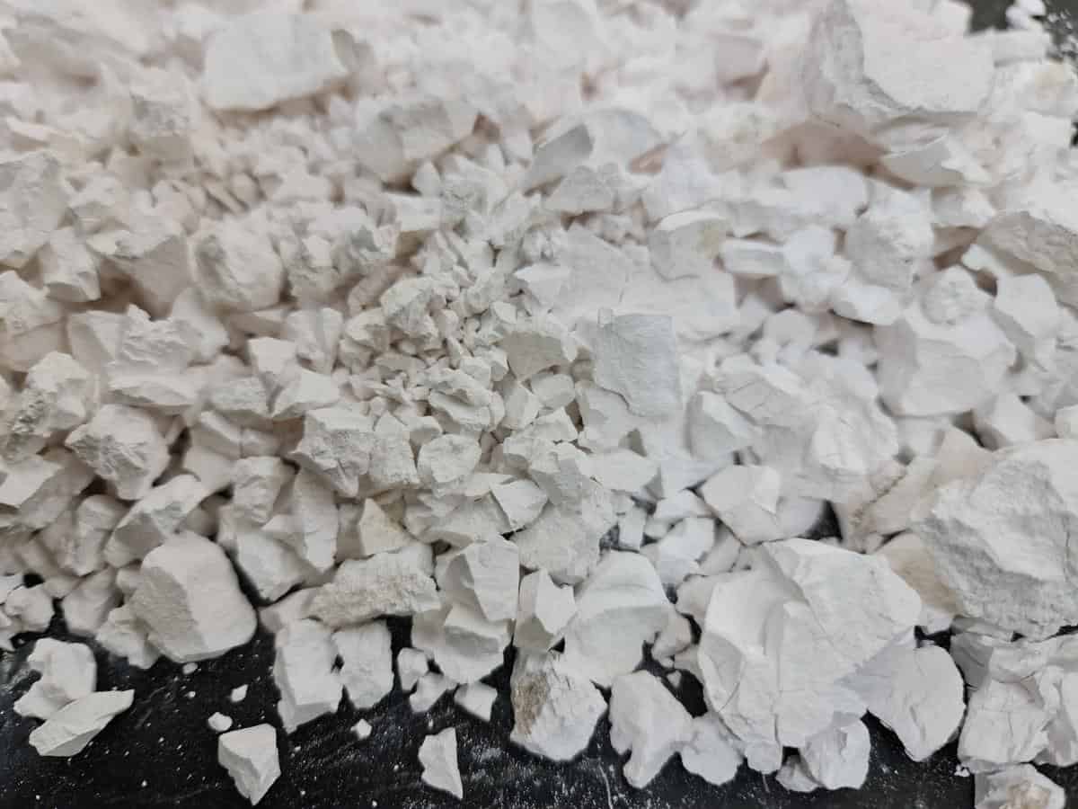 cách diệt lăng quăng tại nhà