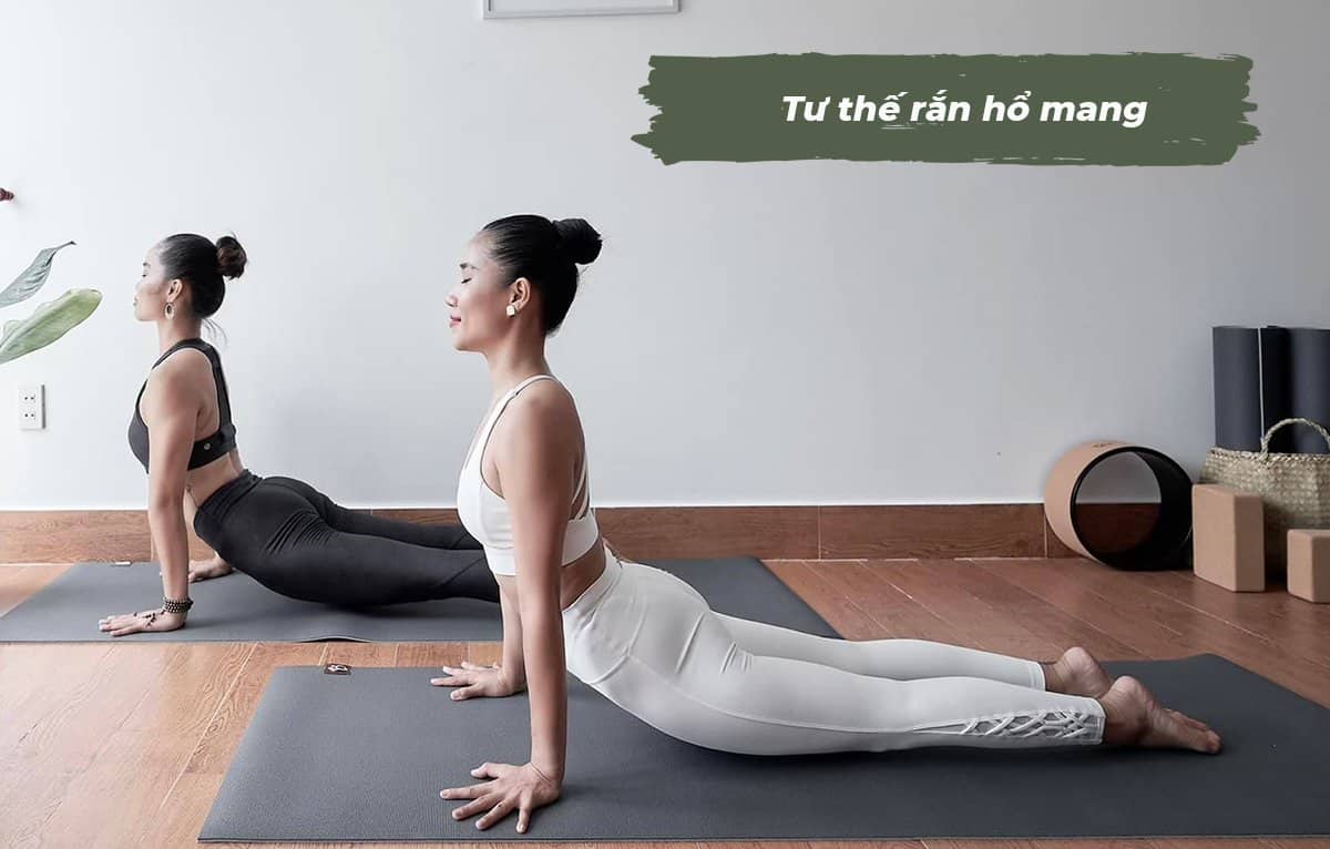 Tổng Hợp Tư Thế Tập Yoga Cho Người Mới Bắt đầu đơn Giản Dễ Thực Hiện Vua Nệm