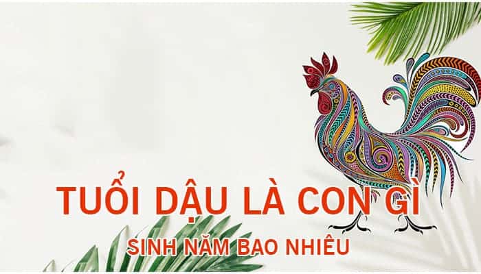 tuổi quý dậu sinh năm 1993 mệnh gì