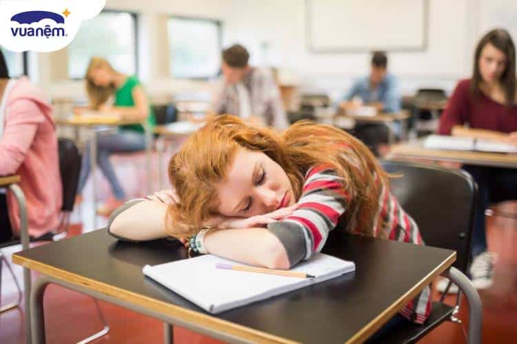 Hướng dẫn cách để không ngủ gật trong lớp hiệu quả và đơn giản