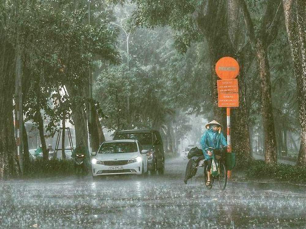 Việt Nam là quốc gia điển hình cho gió mùa hoạt động