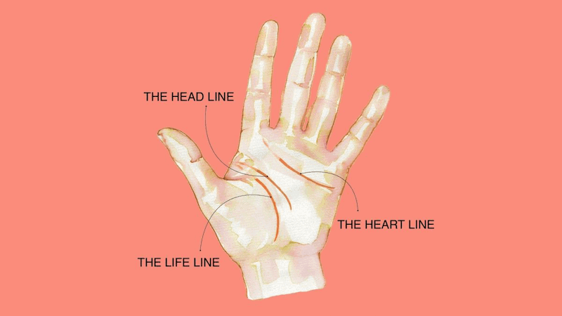 Lòng bàn tay của mỗi người có 3 đường cơ bản là đường sinh đạo, đường trí đạo và đường tâm đạo.