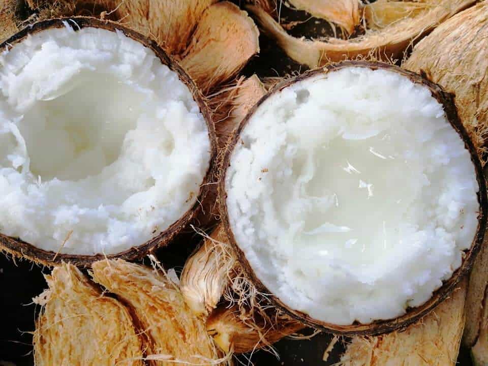 dừa sáp