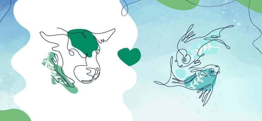 cá đực đực cái