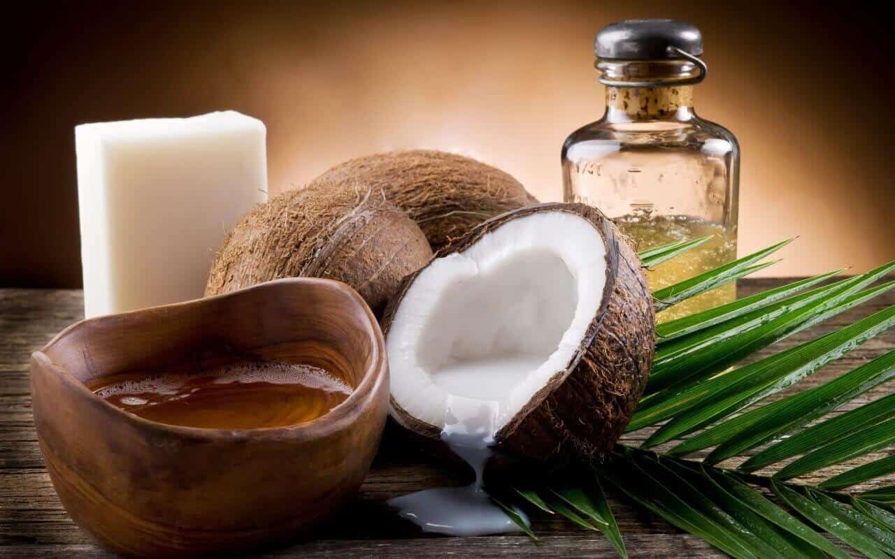 dừa sáp là gì?