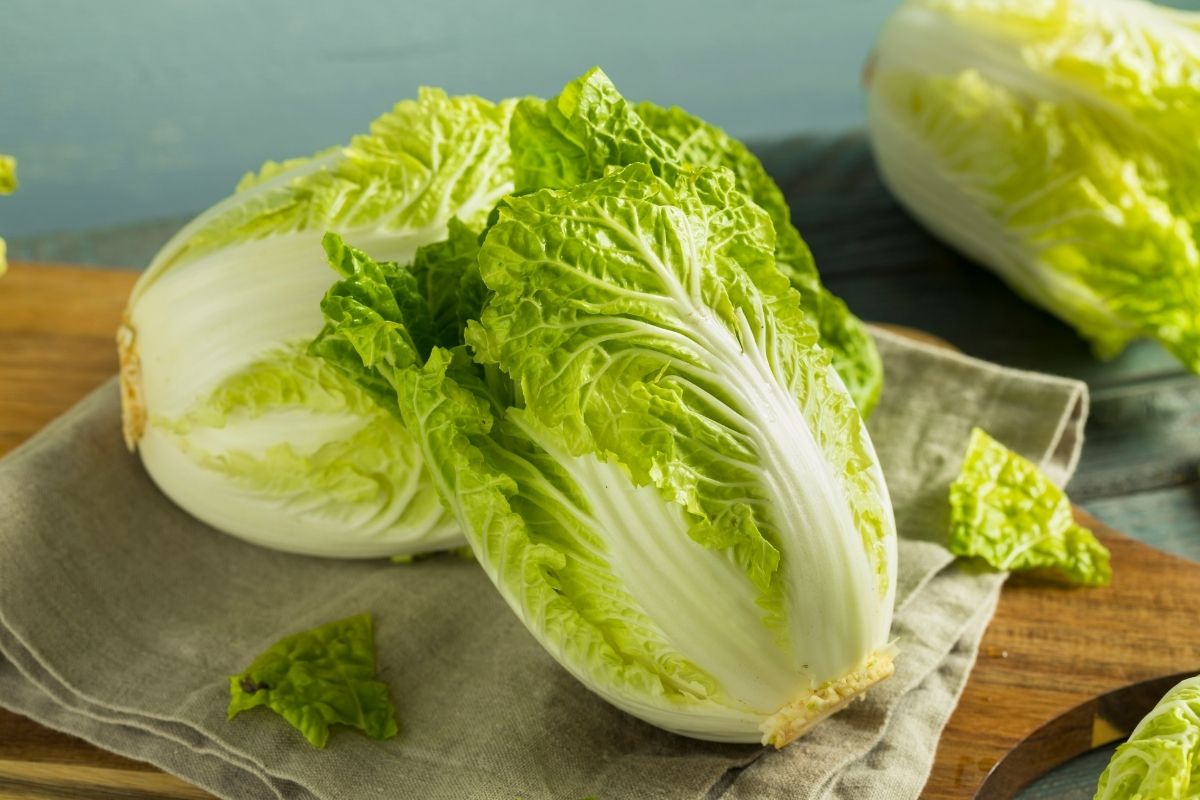 hiệu ứng bắp cải