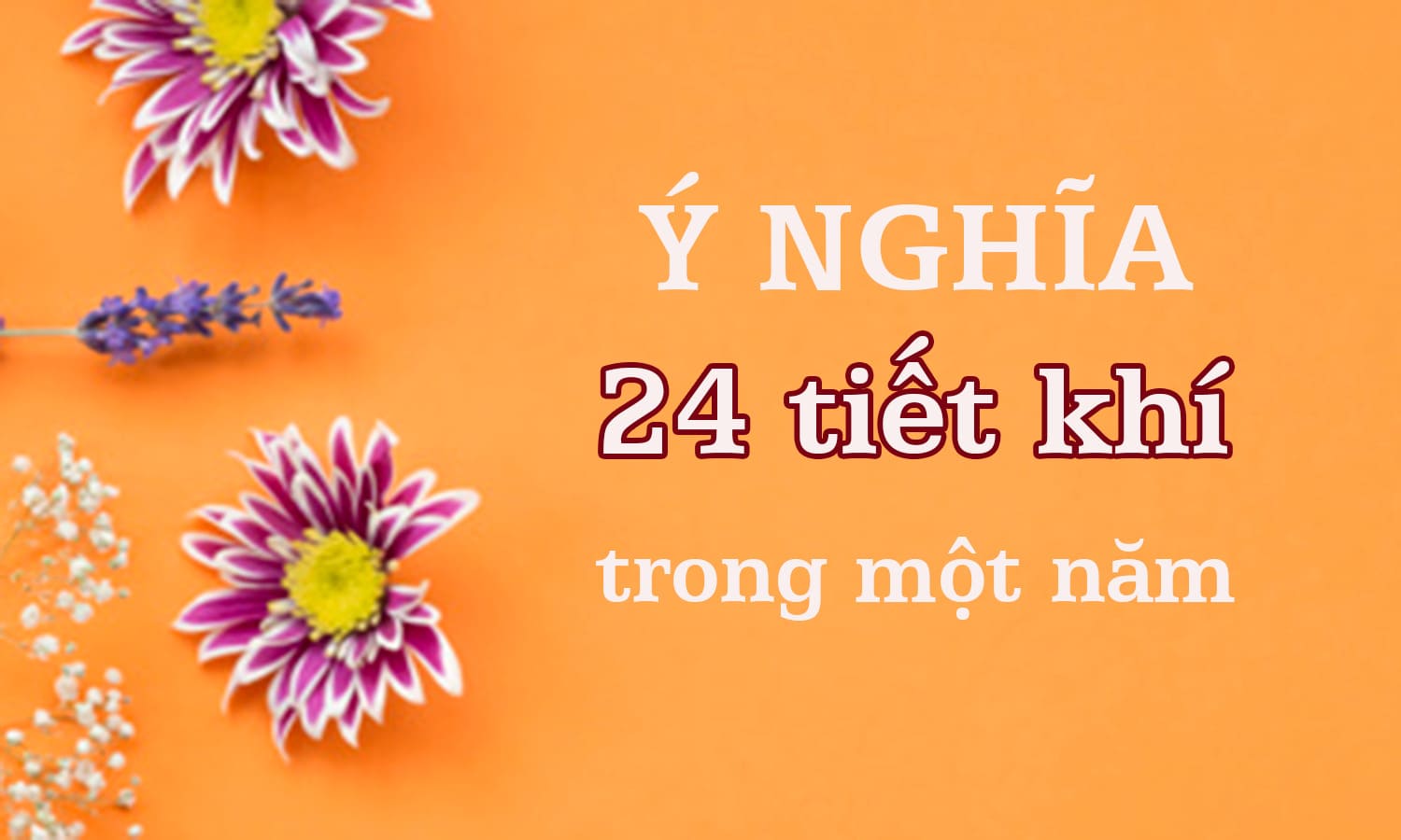 24 lần một năm