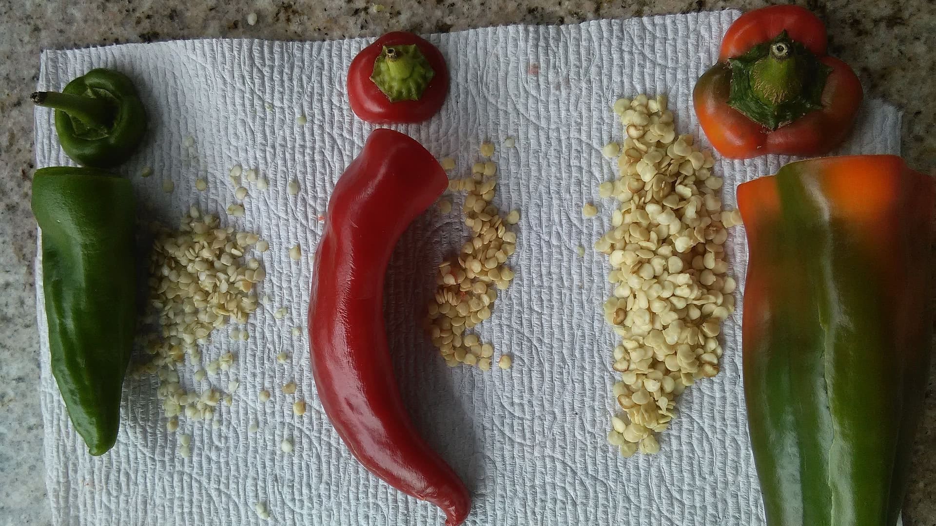 Cách trồng ớt từ hạt 