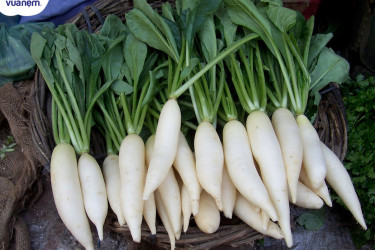 Củ cải trắng có chất dinh dưỡng gì