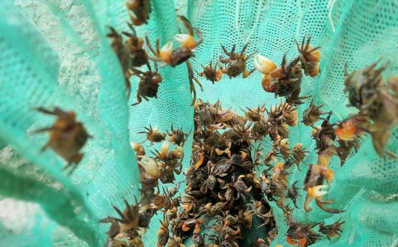 Đặc sản Hà Nam