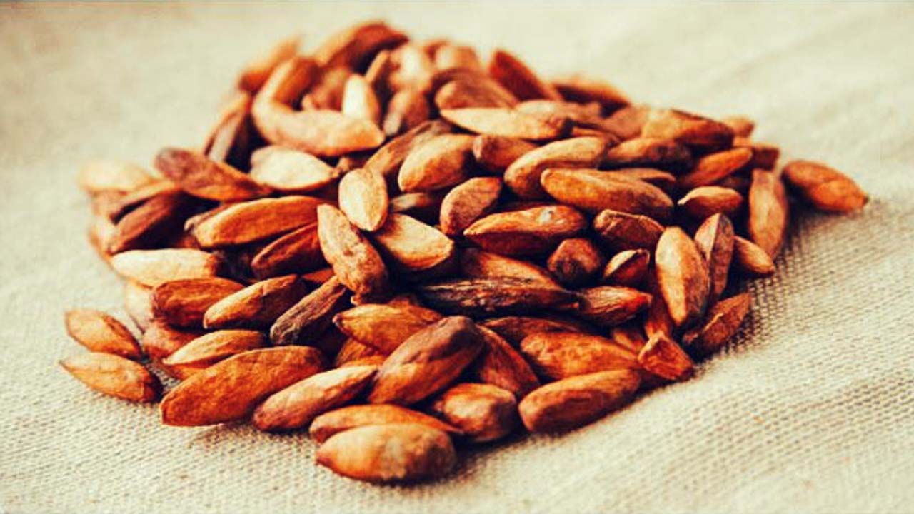 Đặc sản Vũng Tàu là gì?