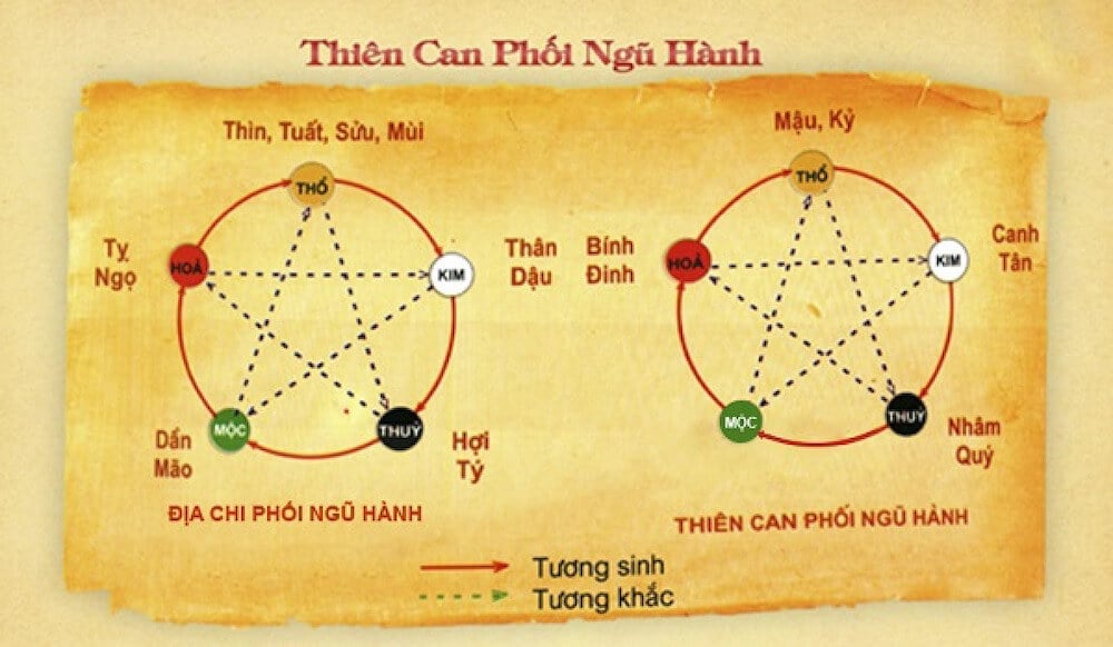 Mối quan hệ địa chi trong phong thủy ngũ hành