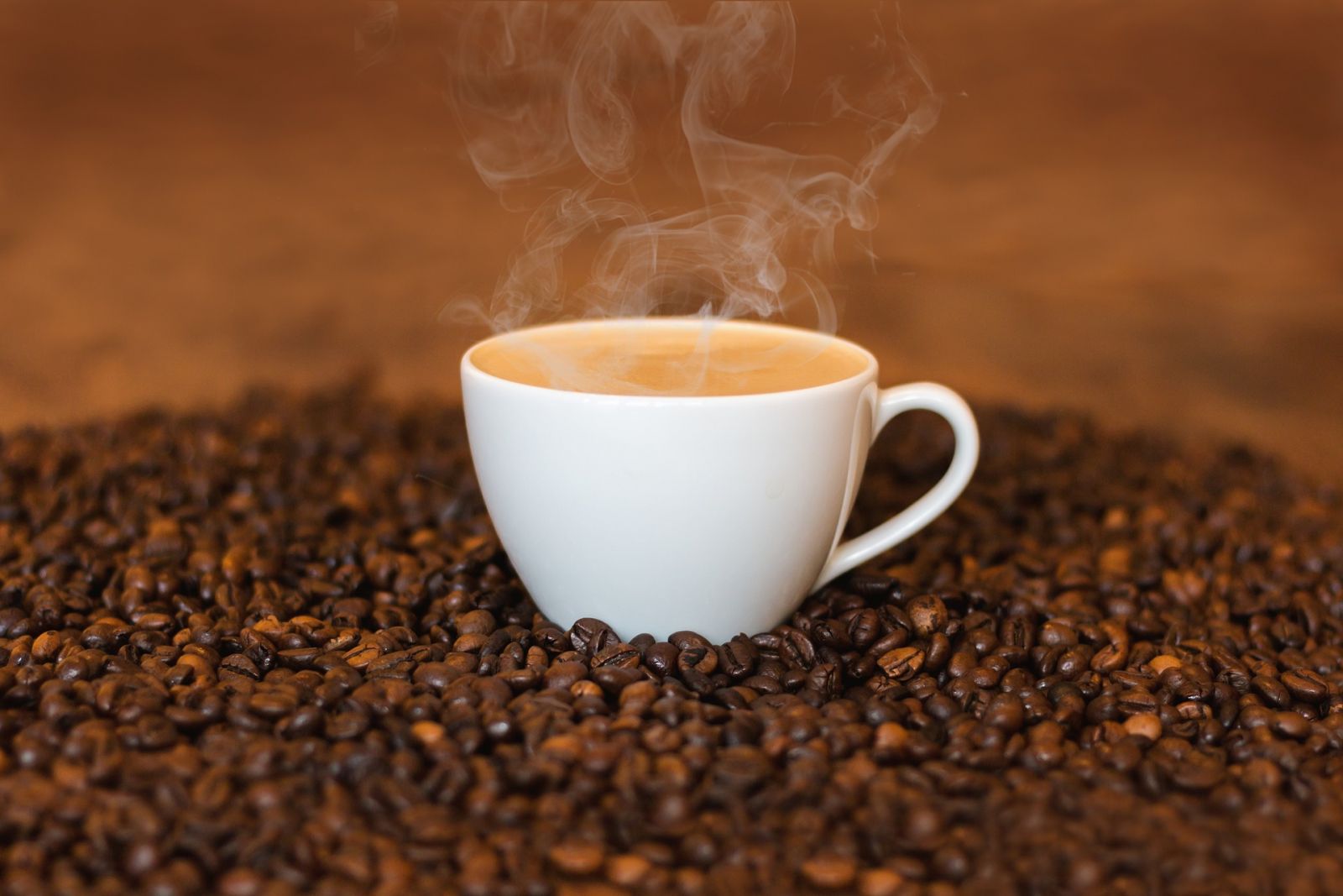 hạt cà phê catimor