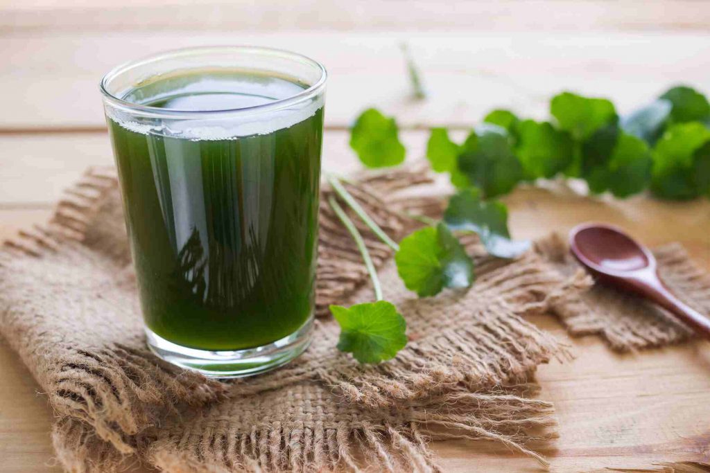 Bật mí những công dụng tuyệt vời của nước ép rau má có thể bạn chưa biết