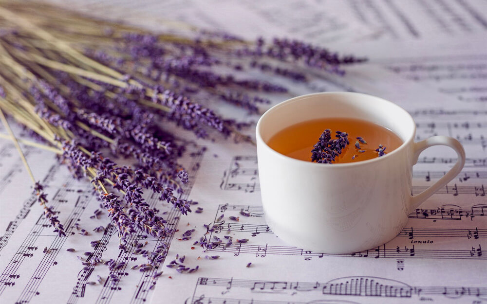 Trà hoa oải hương (lavender) có tốt không? Những lưu ý và cách pha chuẩn vị  - Vua Nệm