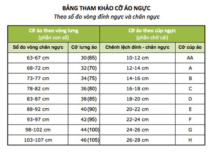 cúc của áo ngực là gì