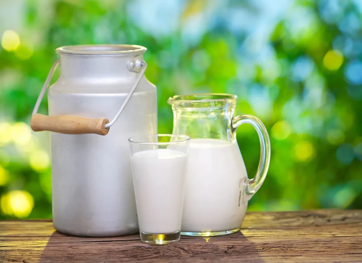 sữa tươi nguyên kem dùng để làm gì